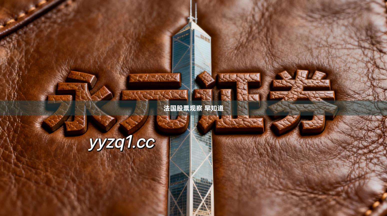 法国股票观察 早知道